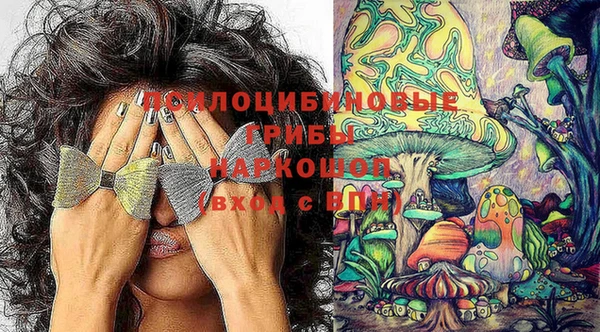 винт Кукмор