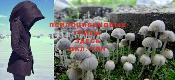 винт Кукмор