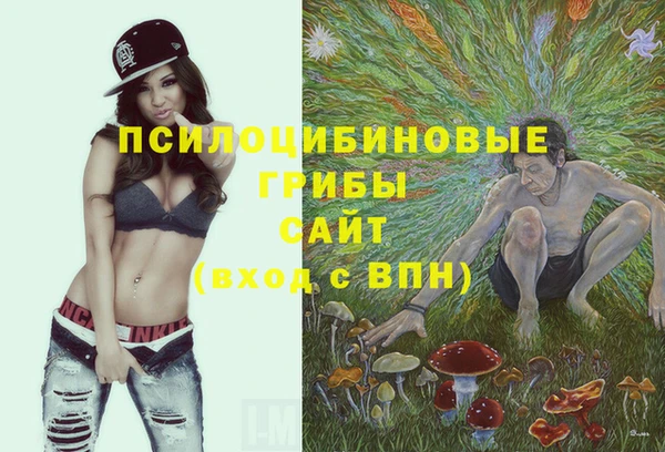 винт Кукмор