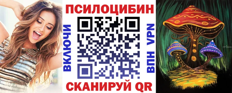 Купить закладки  Зеленокумск  Псилоцибиновые грибы GOLDEN TEACHER 